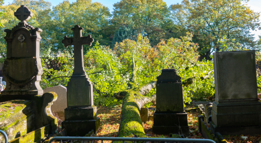 arbre tombé au cimetière de Roubaix