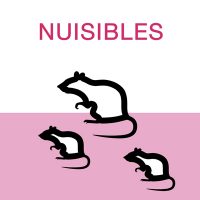 icone_NUISIBLES icone_NUISIBLES