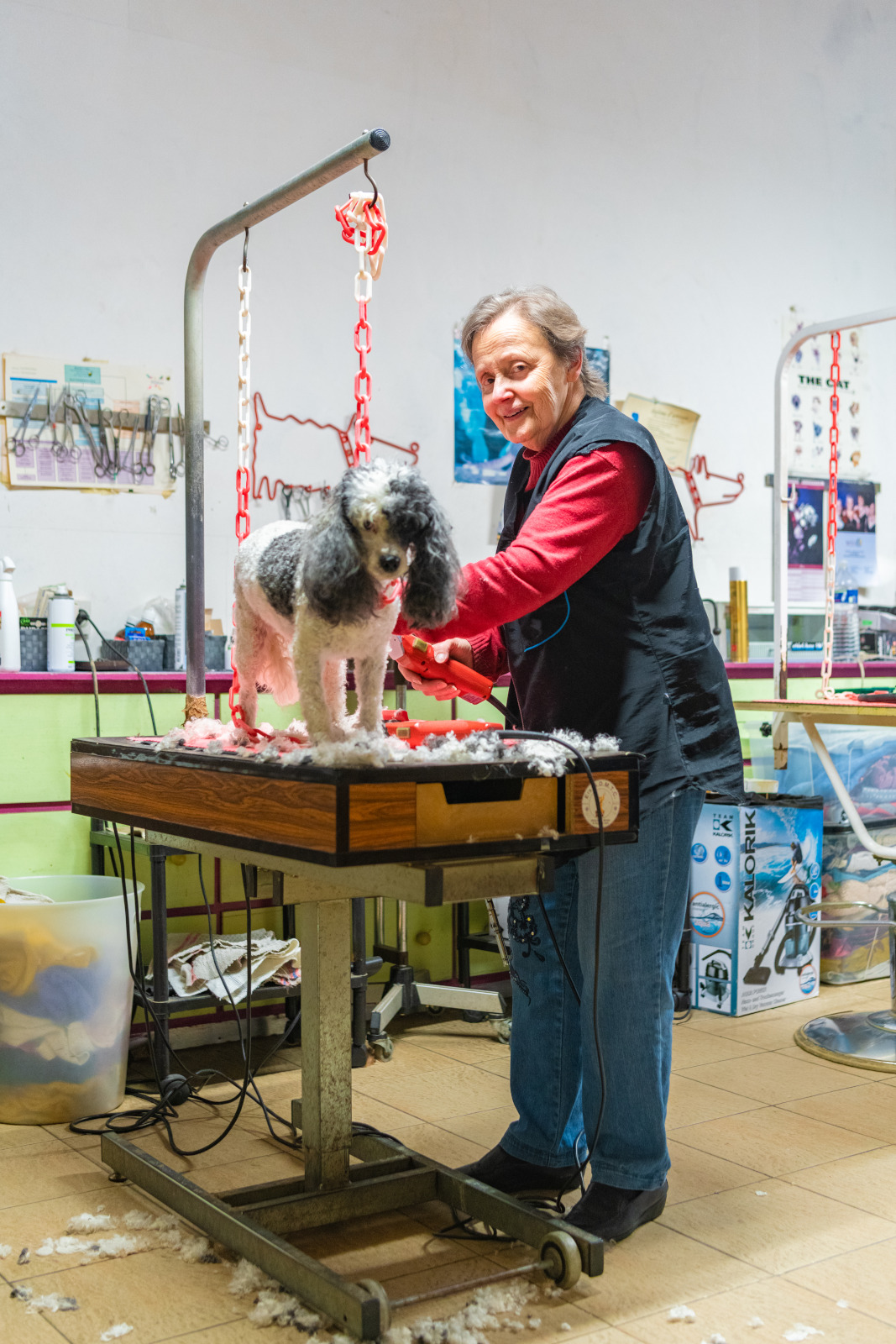 Francine Toiletteuse à Roubaix