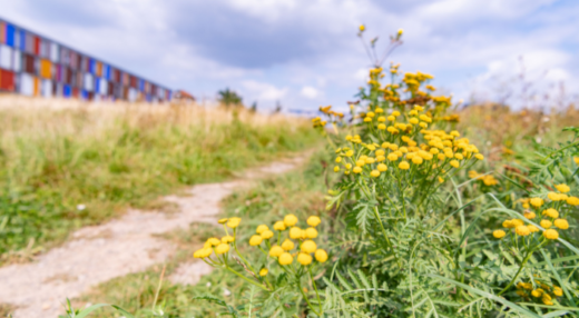 biodiversité