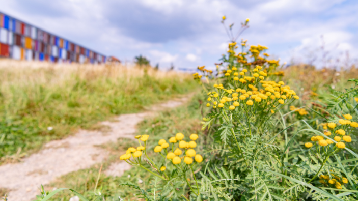 biodiversité