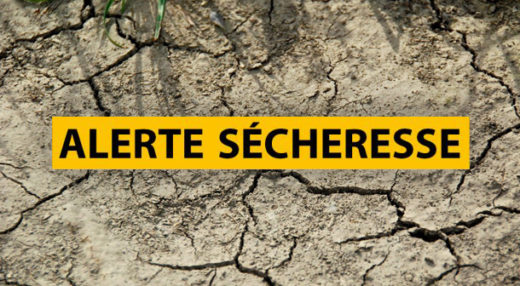 Alerte Sécheresse