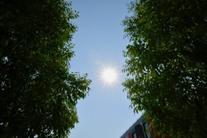 soleil canicule