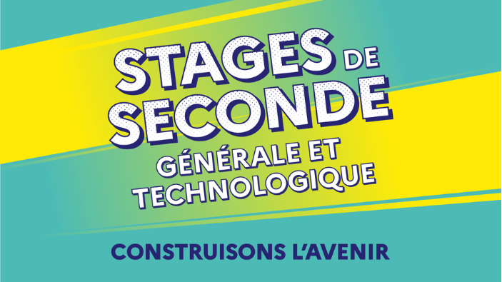 Bannière Stage de Seconde