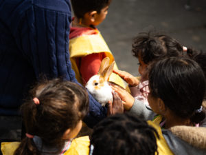 Un lapin entouré de jeunes roubaisiens à la Ferme du Trichon
