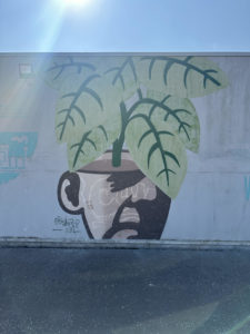 Philodendron Gloriosum by Mister P
