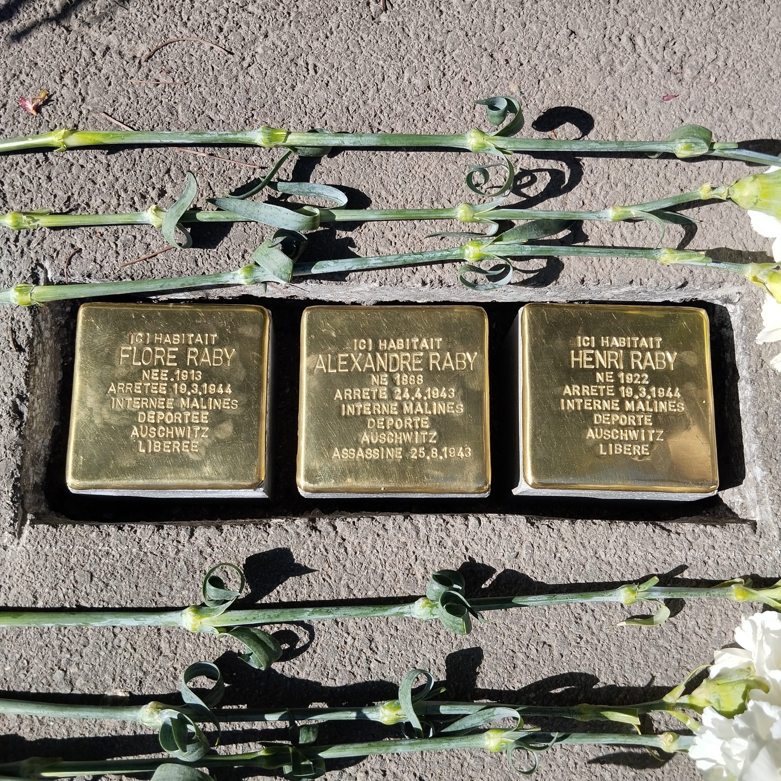 Stolpersteine Raby 2