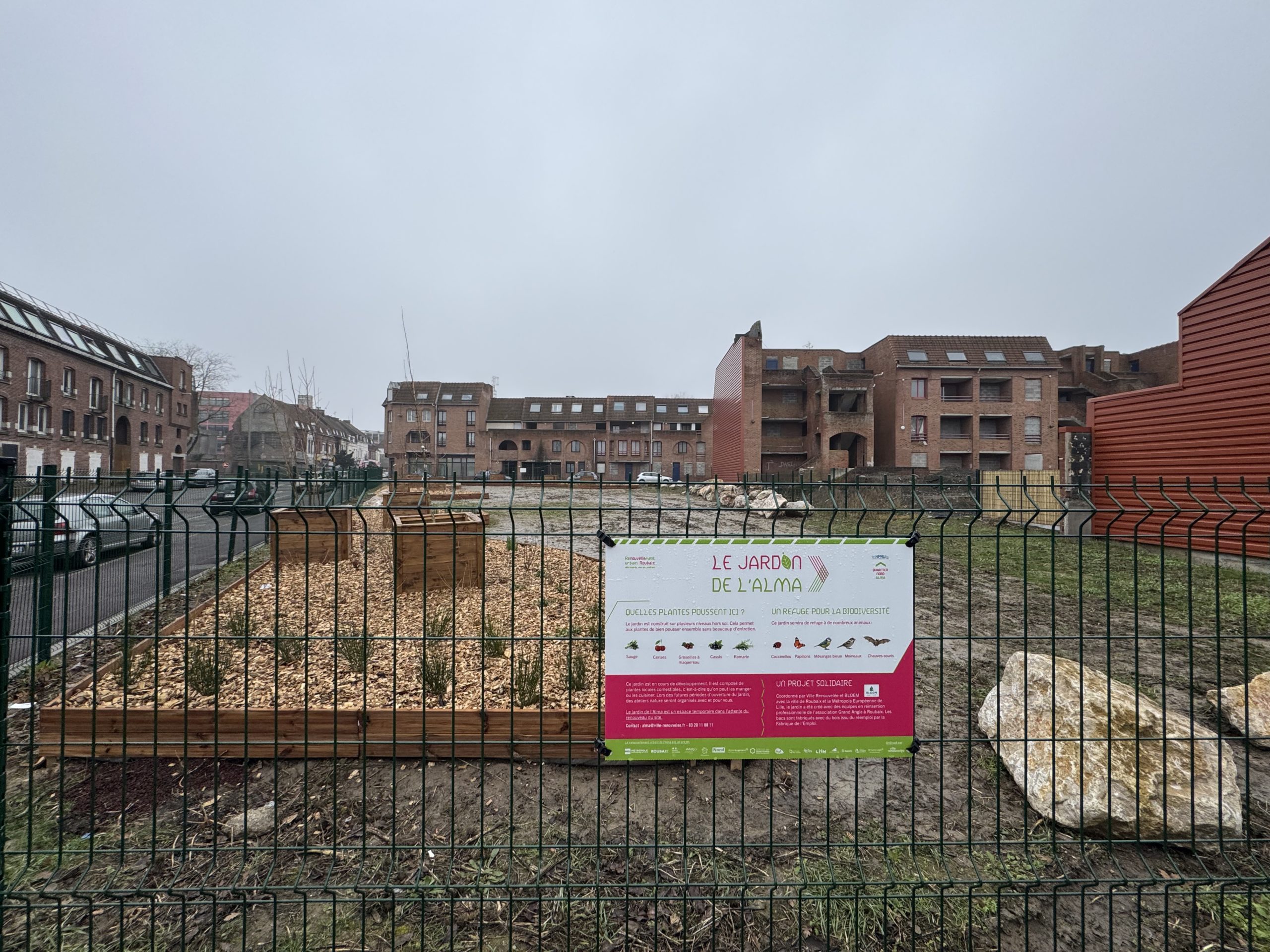 1-165 fleurissement alma ville renouvelee roubaix02-02-2026 à 11.20.17 4