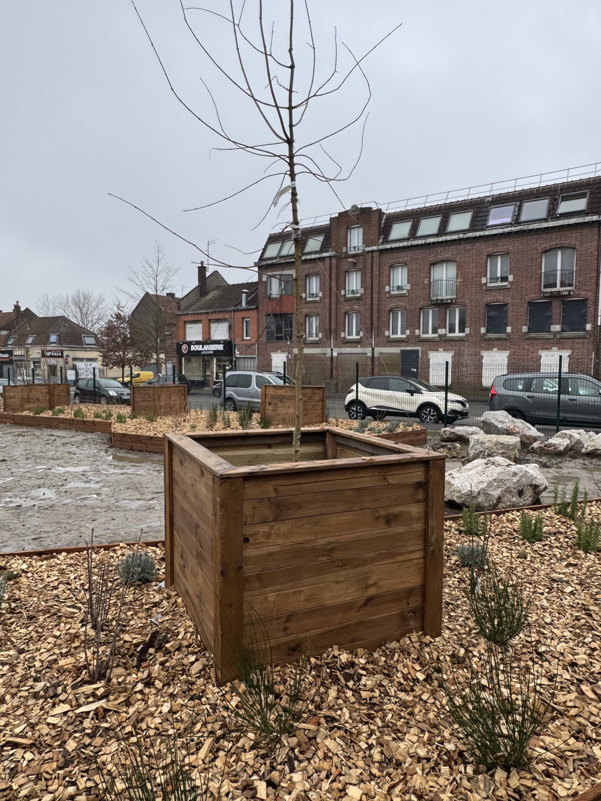 2-165 fleurissement alma ville renouvelee roubaix02-02-2026 à 11.20.17 19