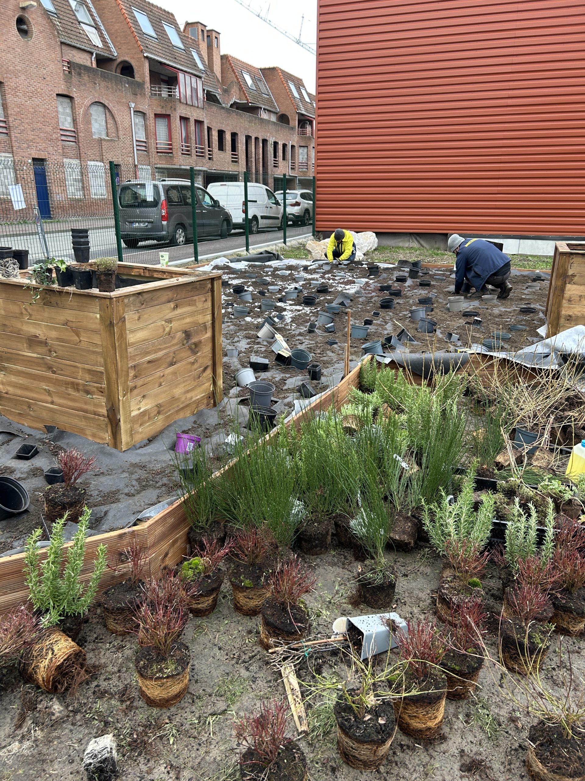 20260122_091557581_iOS