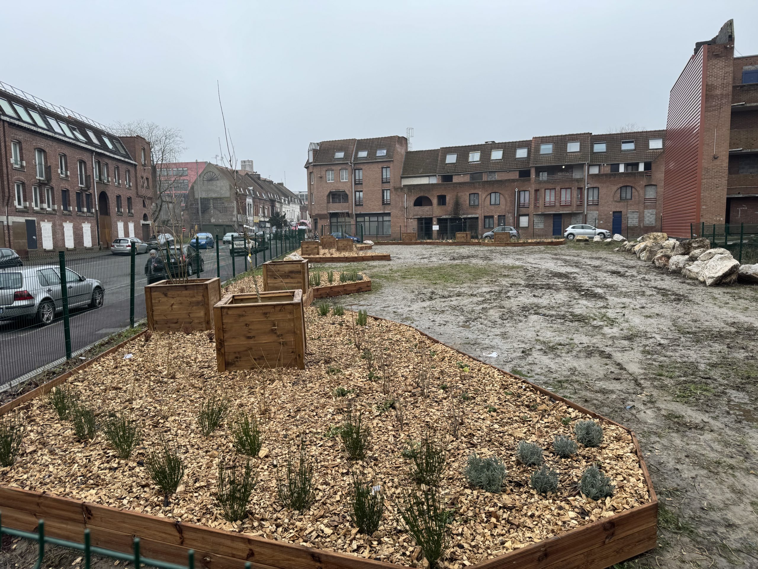 3-165 fleurissement alma ville renouvelee roubaix02-02-2026 à 11.20.17 11