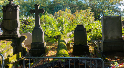 arbre tombé au cimetière de Roubaix